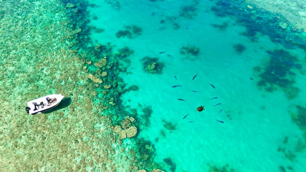 Fishing Reef Holes LOADED with Fish