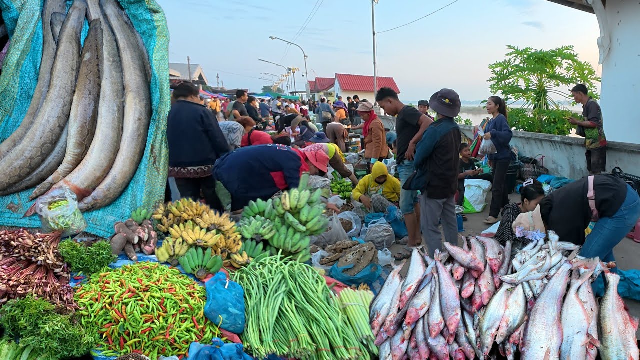 ตลาดนัดไทยลาว อ.ธาตุพนม จ.นครพนม #อาหารป่า สปป.ลาว #food