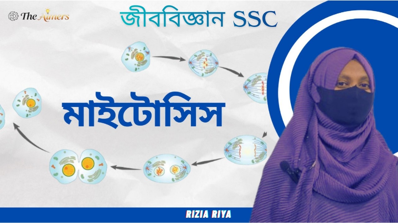 🔬 মাইটোসিস কোষ বিভাজন | SSC জীববিজ্ঞান | ৩য় অধ্যায় | The Aimers