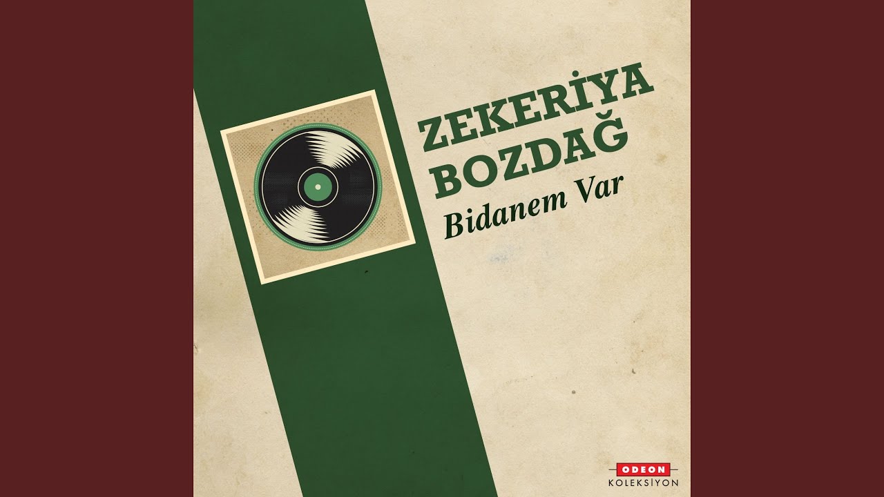 Vatan Hasreti