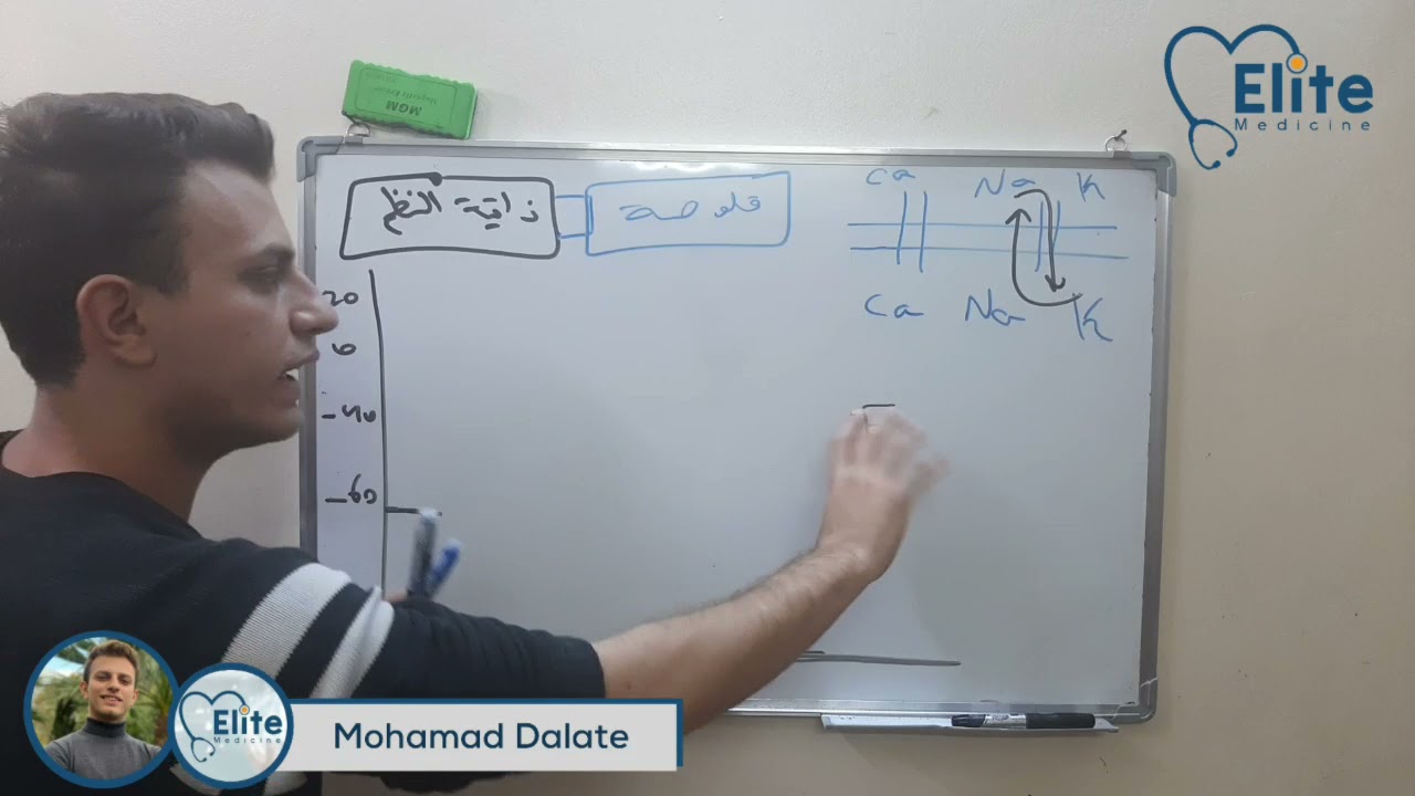 كامن الفعل في الخلايا العضلية القلبية و النسيج العقدي و انتشار موجة زوال الاستقطاب - تاثير النواقل