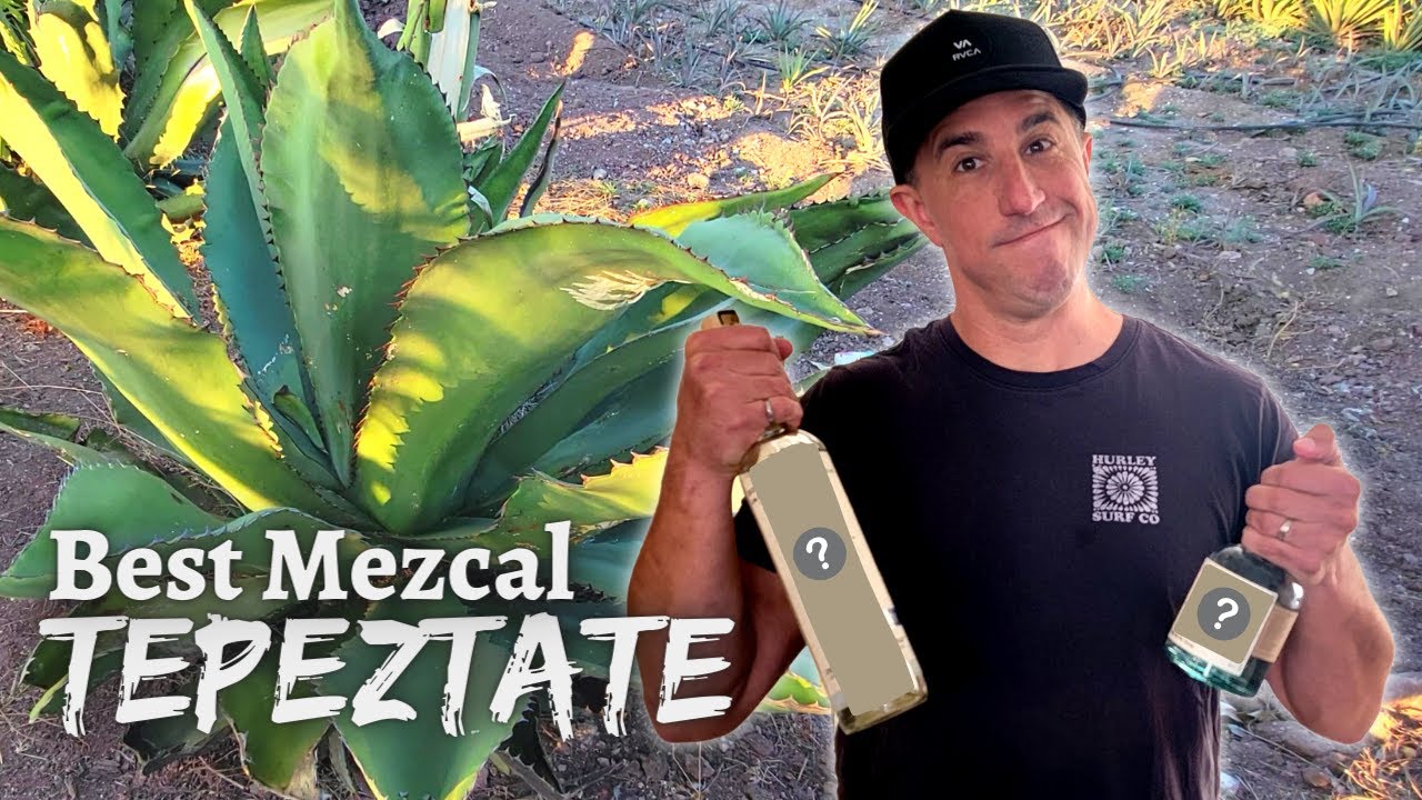 Best Mezcal - Tepeztate Edition