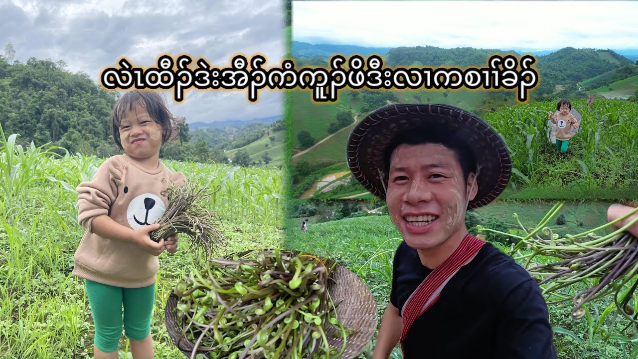 Our family are going to find vegetables 
