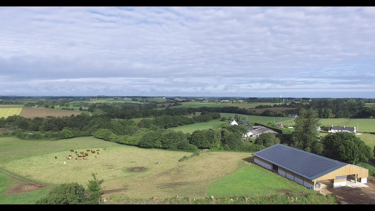 La ferme de Mik: Construction d'une stabulation (2): Maçonnerie & Terrassement