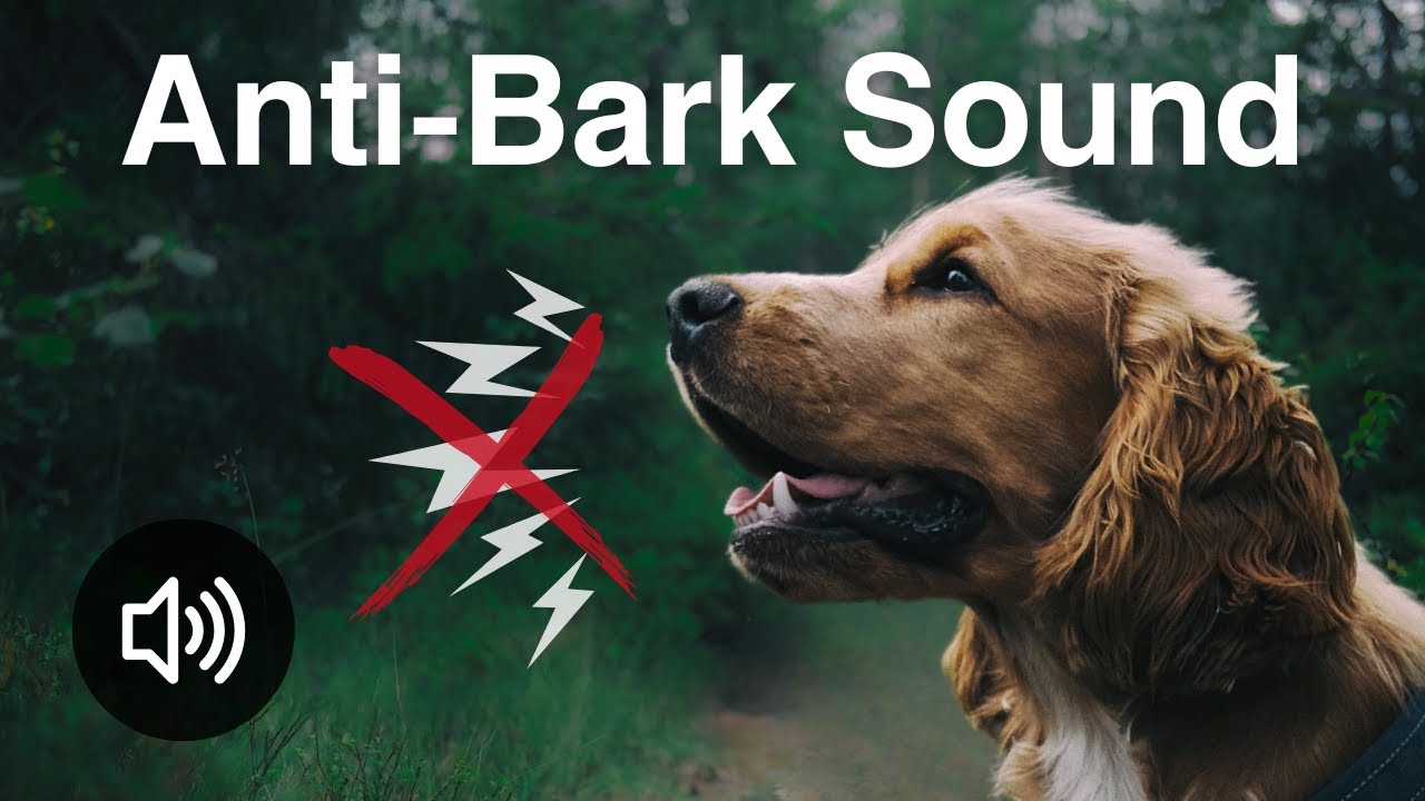 Anti-Bark Sound | 20kHz High-Frequency Sound to Stop Dogs Barking