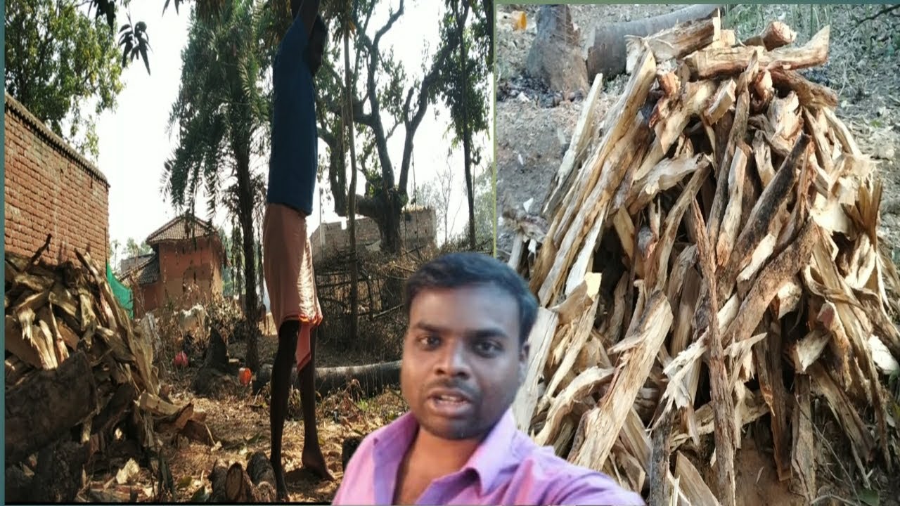  बिहार का छोटा सा गांव से डेलीलिफ🥰@#( Village life in bihar )