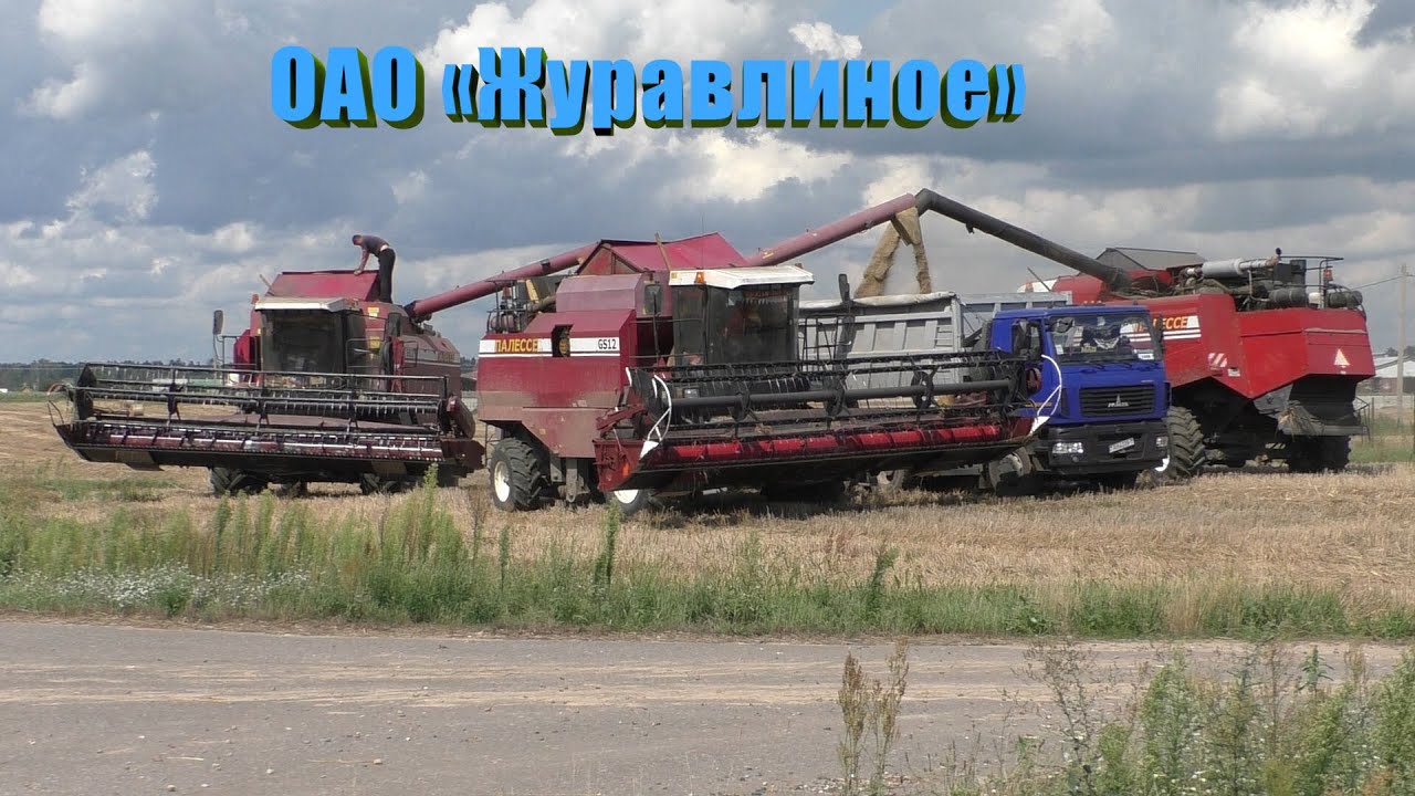 третья часть, Уборки Тритикале на большом поле/  Полесcе GS 10. GS 12. и один John Deere 9640.