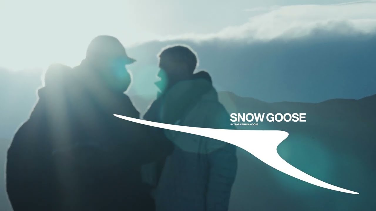 Snow Goose by Canada Goose: A Journey Through Iceland