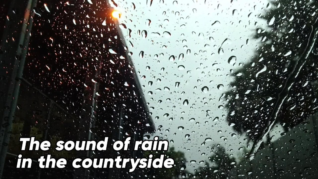 Rain Sounds on a Tin Roof in the Countryside 🌿 White Noise for Deep Sleep & Focus