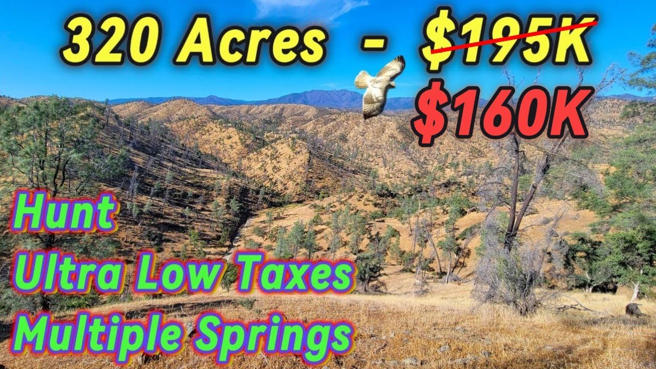 Land Acreage For Sale In California - Hunting Land, Spring Water, Cattle Grazing