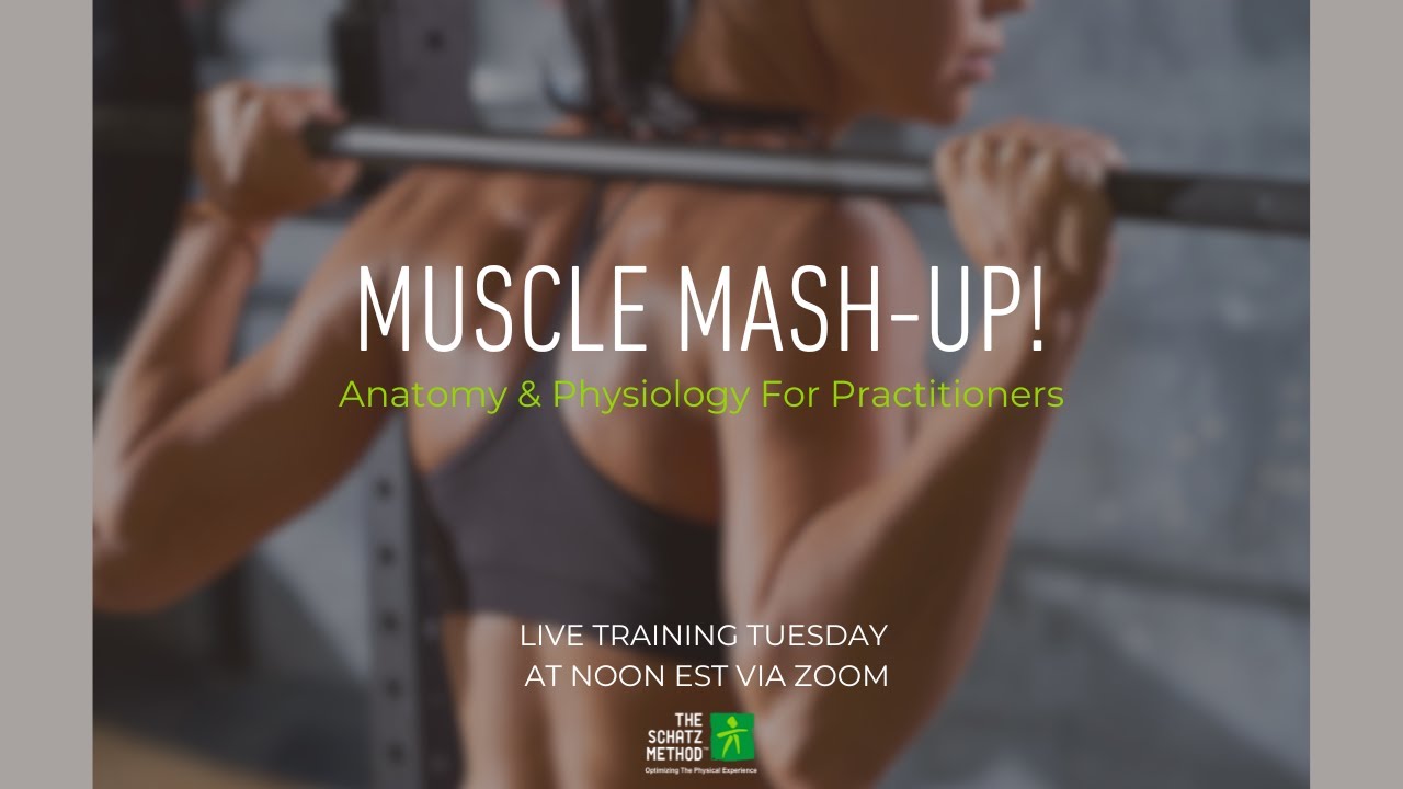 Muscle Mash-up! Practitioner Training Tuesday - LIVE