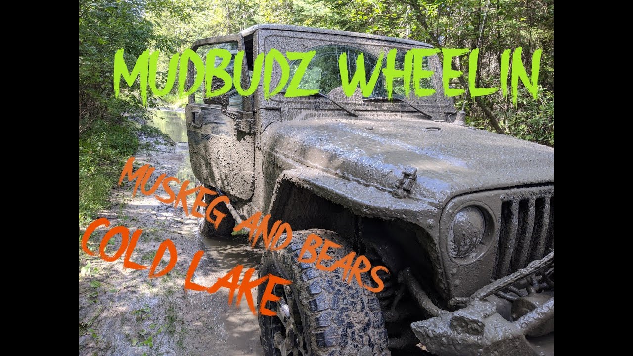 Muskeg and Bears in Cold Lake