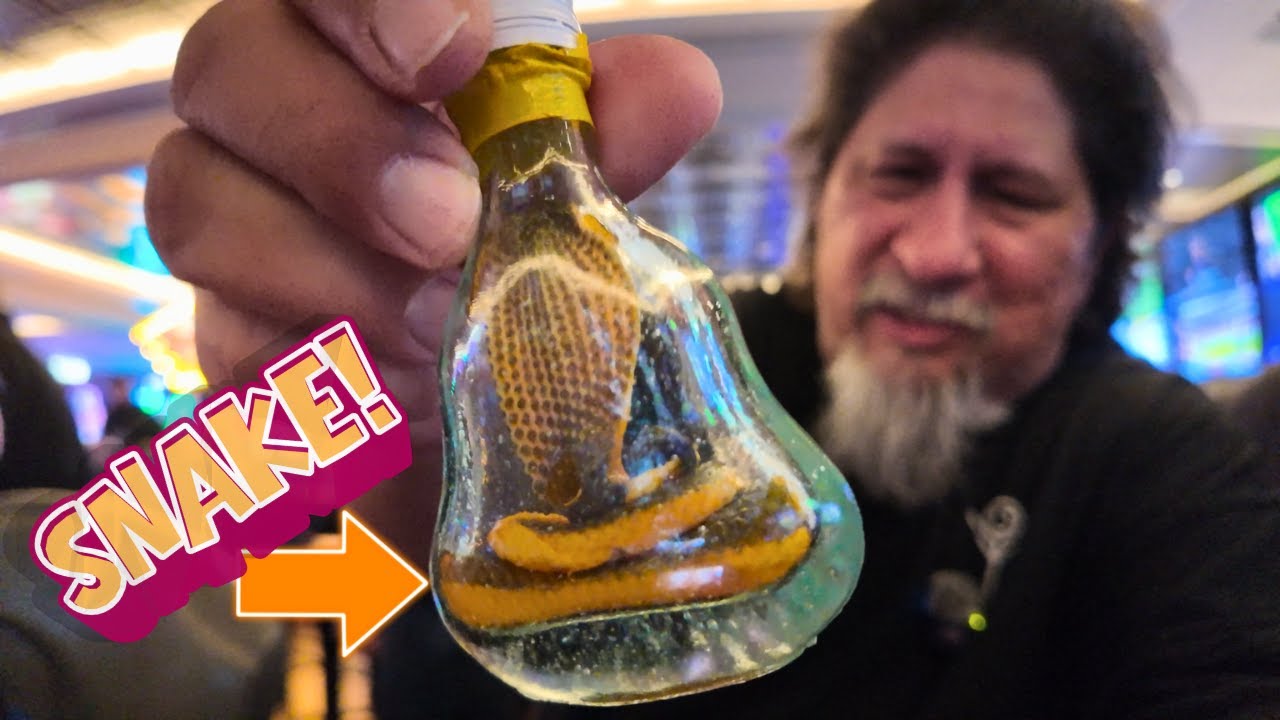 I Drank This Weird Snake Alcohol - Drunk As 'F' On FREMONT STREET!