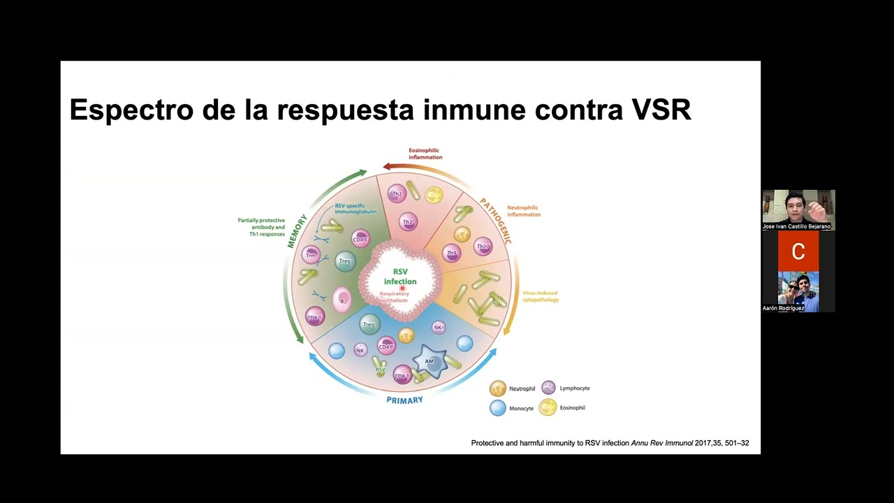 VSR  ENFOQUE EN LA UTIP  DR IVAN CASTILLO