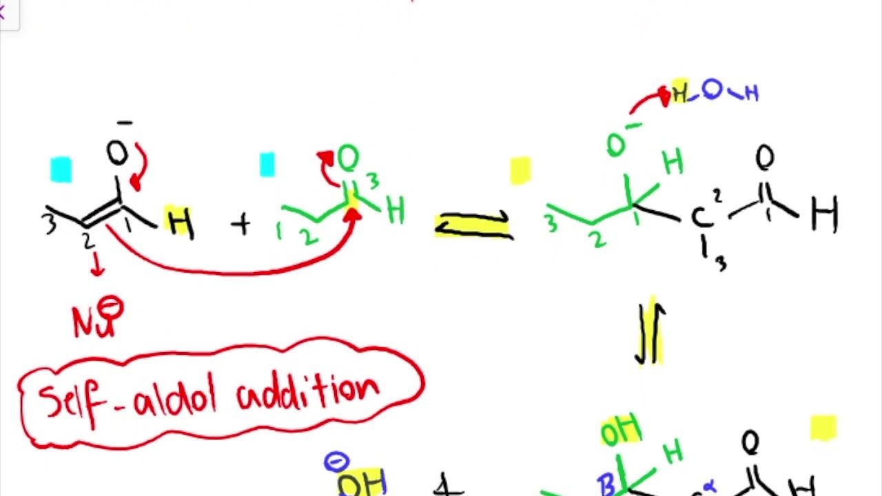Acid/Base catalyzed aldol addition and aldol condensation reaction-Organic chemistry