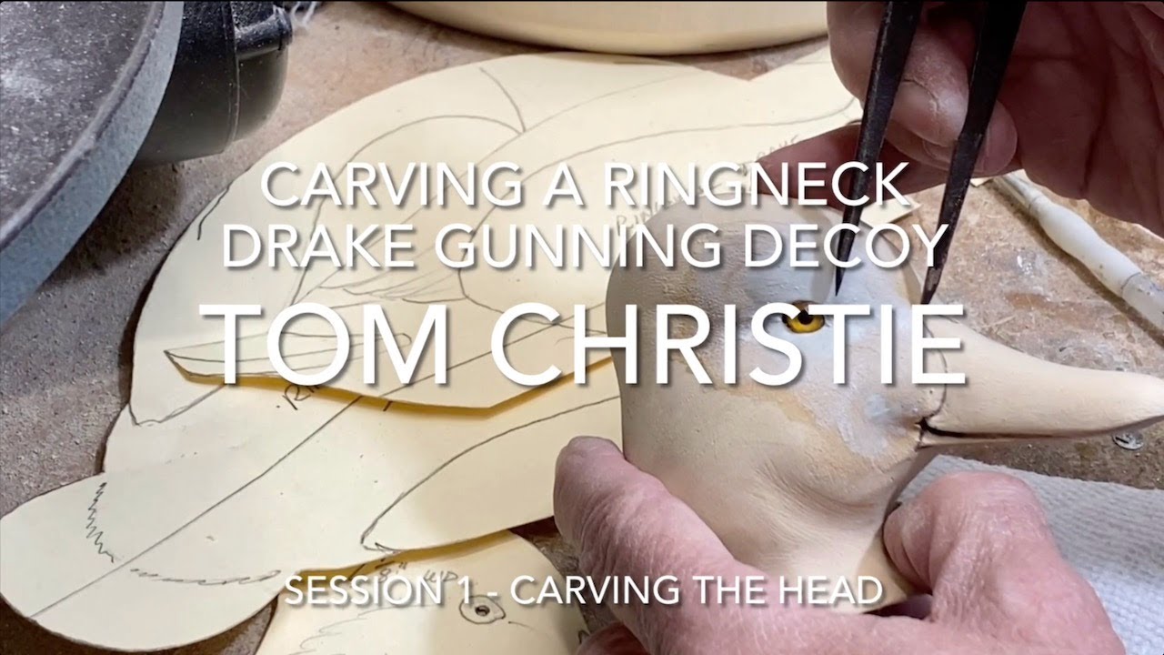 Ringneck Drake Session 1 - Carving The Head