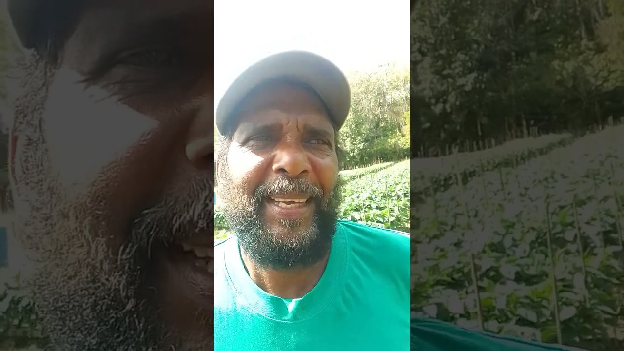 Trinidad & Tobago Agronomist Michael Baboolal Visits Kelly Badal in Tabaquite. godlymike@live.com