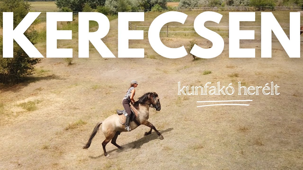 Kerecsen 3 hónap közös munka után