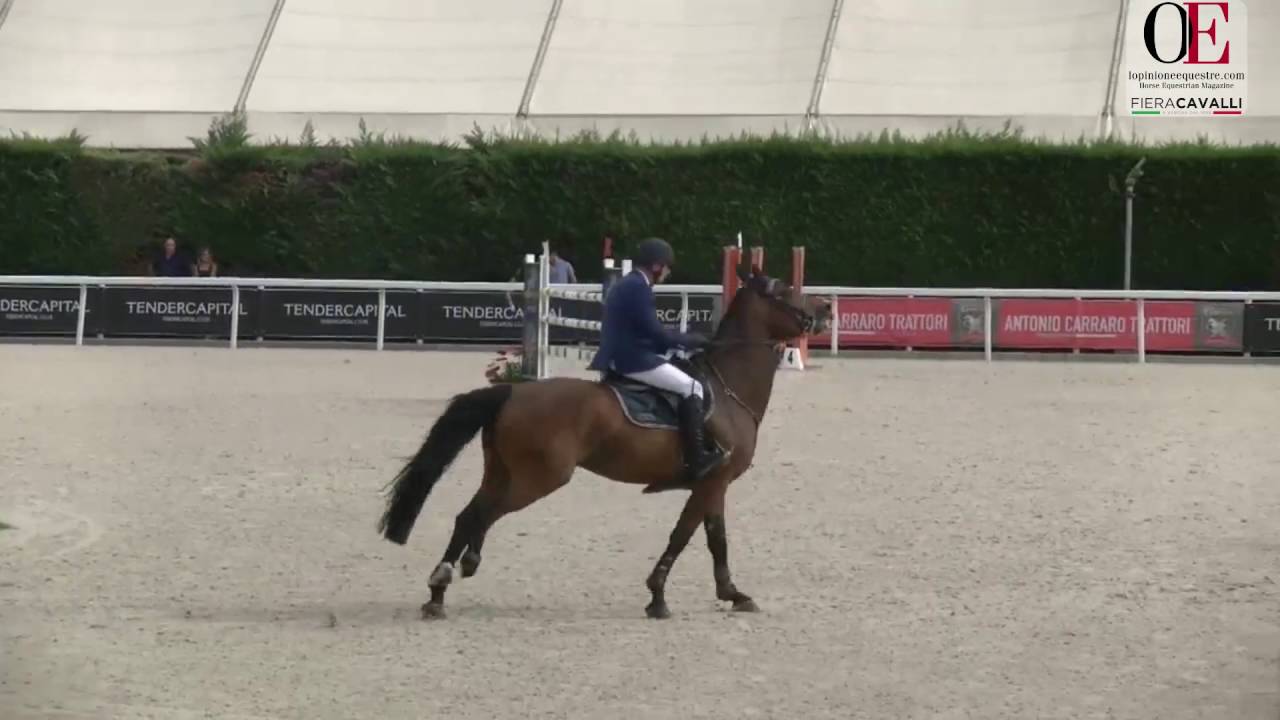 OE RT 1.  Matteo Cecchi |  Finale Campionato 7 anni 4 .09 .16