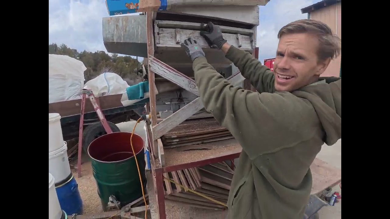 Cleaning wheat.