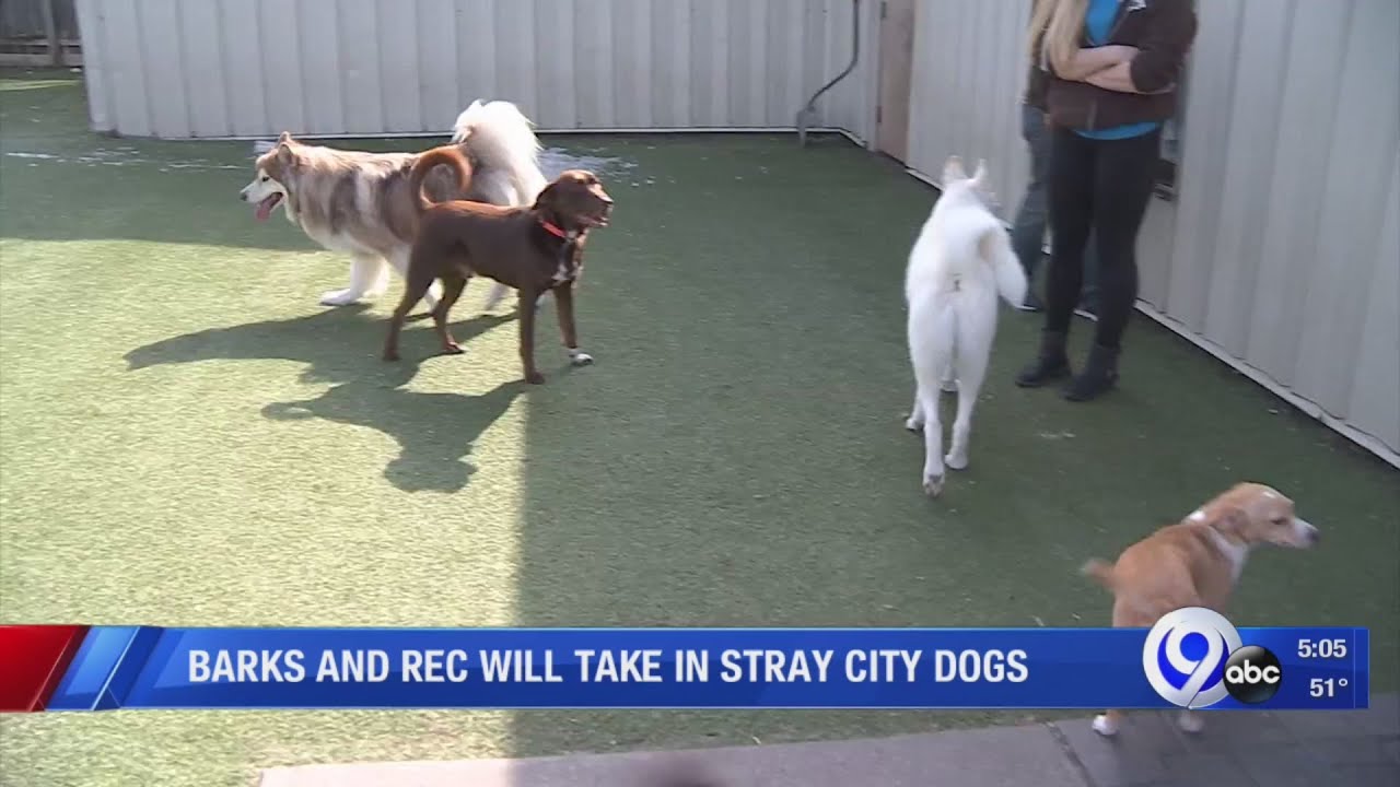 City of Syracuse contracts Barks and Rec