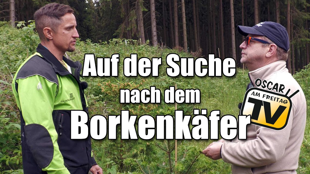 Auf der Suche nach dem Borkenkäfer
