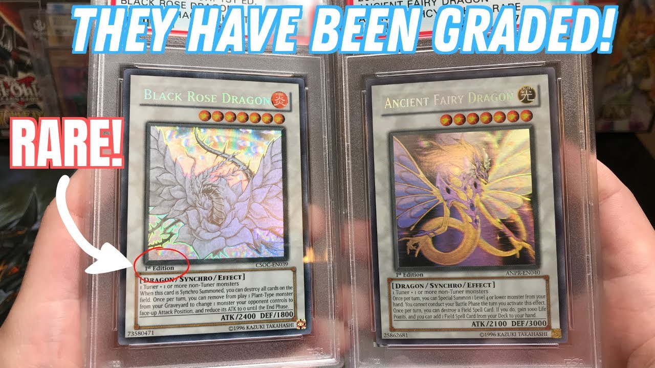 *EXTREMELY RARE* PSA GRADED YUGIOH CARDS Opening! GHOST RARE Black Rose Dragon!