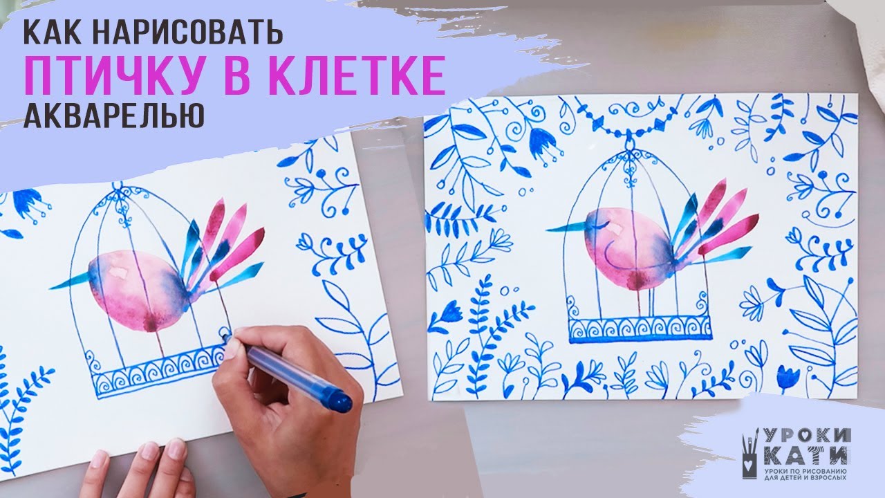 Как нарисовать птичку в клетке акварелью, пошаговый урок для детей от 6 лет и взрослых