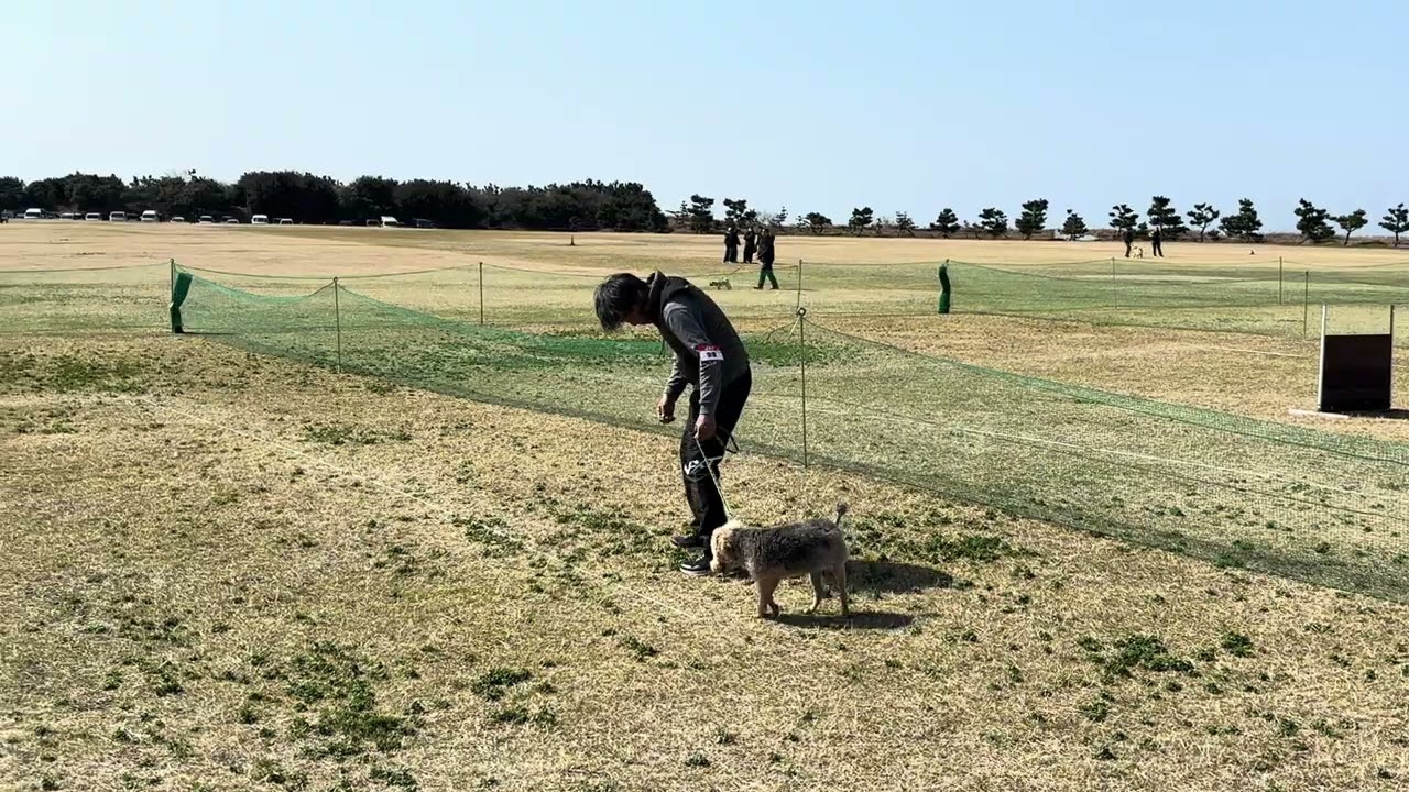 ＪＫＣ大阪クラブ訓練競技会