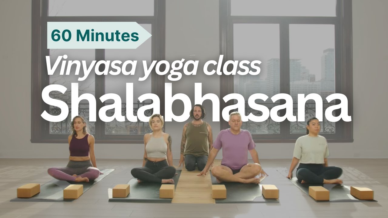Vinyasa Yoga Class (60 Min) How To Build To Shalabhasana