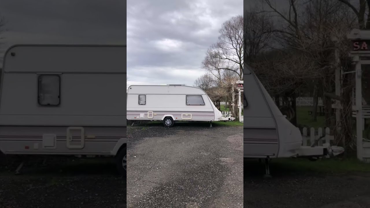 Balavcısı kanalı canlı yayında safari life istanbul