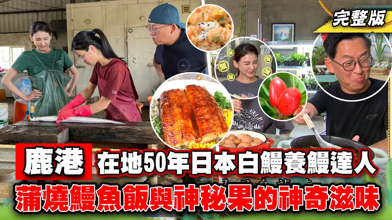 《詹姆士出走料理》鹿港在地50年日本白鰻養鰻達人 激推日式蒲燒鰻魚飯與神秘果的神奇滋味!-第189集-2022/12/18