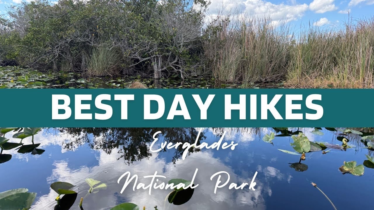 Best Easy Day Hikes-Everglades National Park