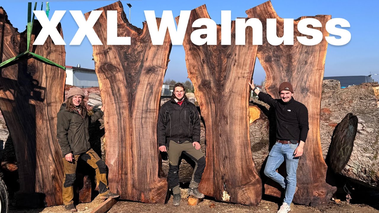 Die schönste Walnuss Deutschlands - Massivholz für Esstische sägen