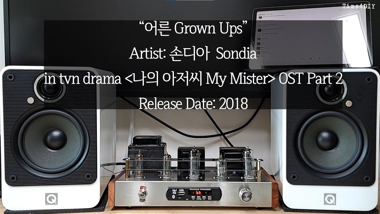 [음악 들어보기 Music Play] 6N2 6P1 진공관 블루투스 앰프 6N2 6P1 vacuum amp with Bluetooth module (가사 자막 lylics sub)