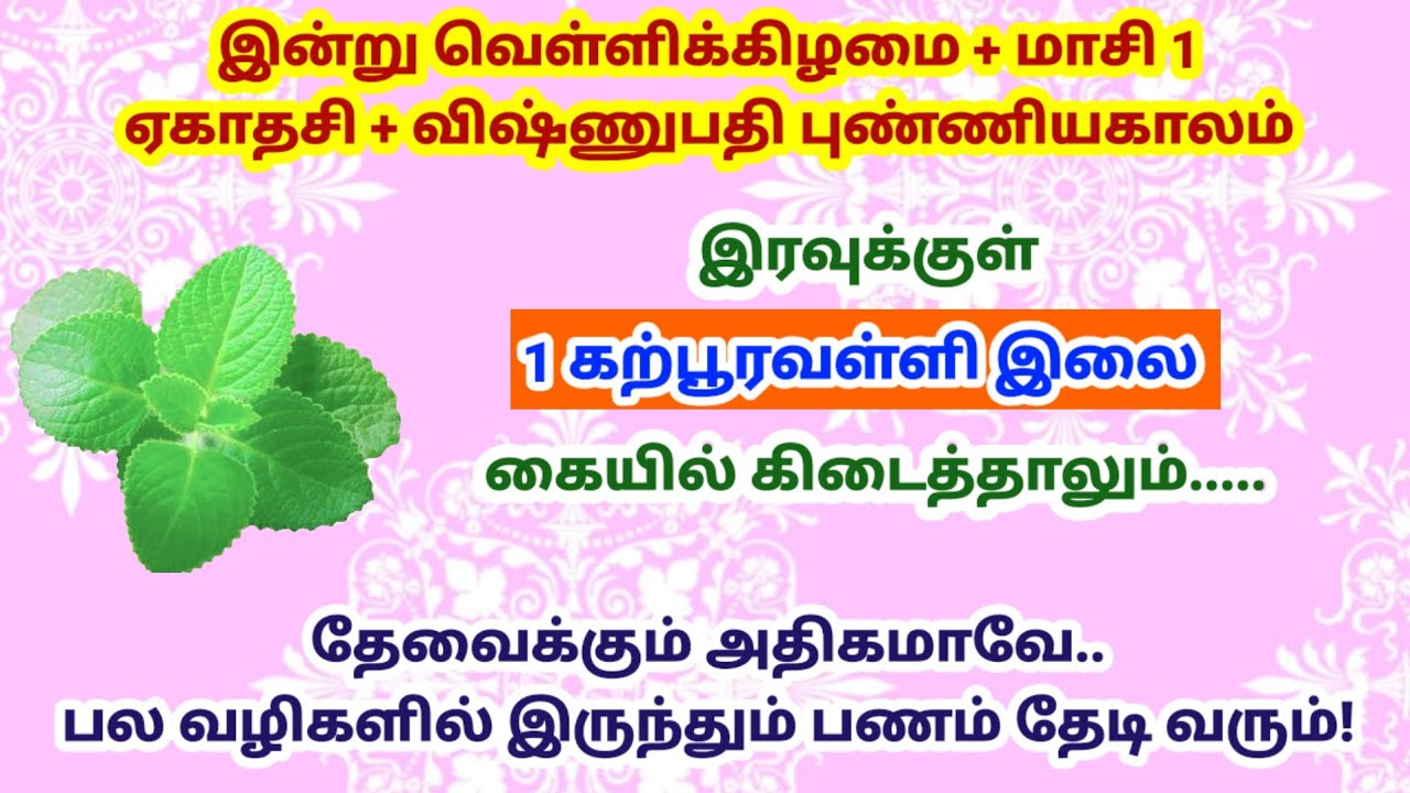 இன்று வெள்ளிக்கிழமை + மாசி 1+ விஷ்ணுபதி புண்ணிய காலம் - 1 கற்பூரவள்ளி இலை போதும்!|panamsera|velli 
