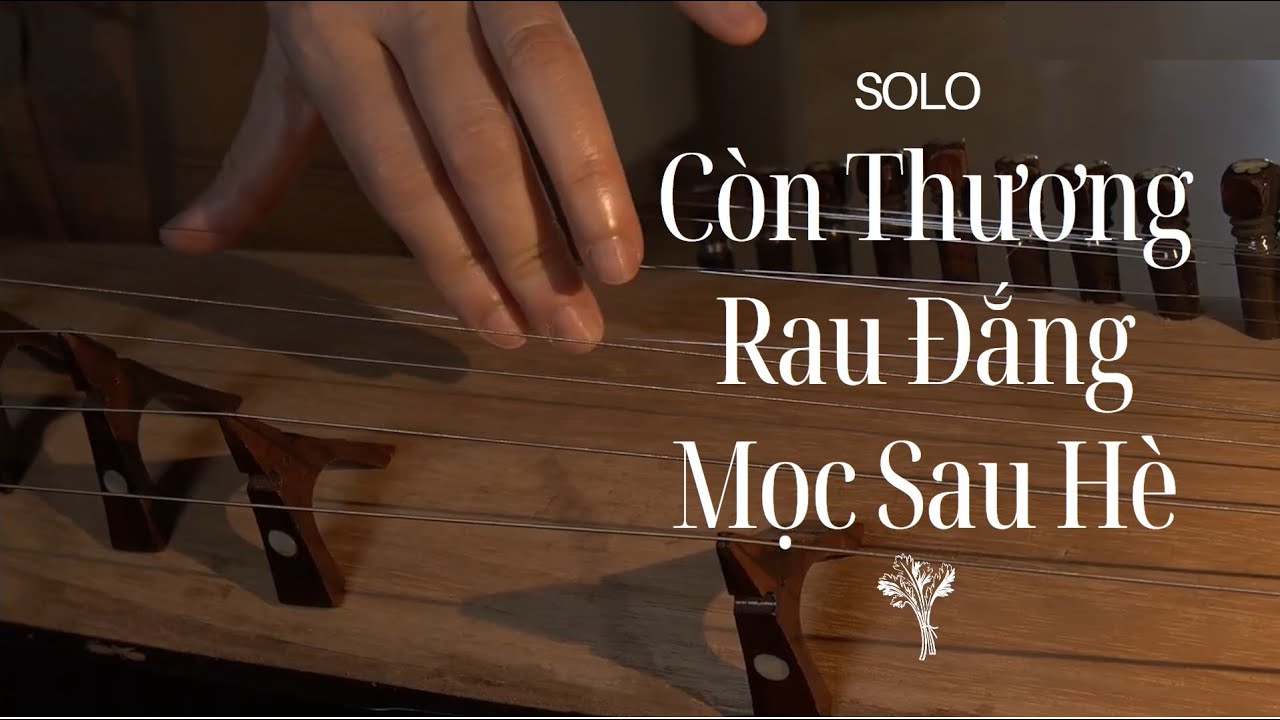 ĐỘC TẤU ĐÀN TRANH | A SOLO ON THE VIETNAMESE ZITHER #bolero #yellowmusic #traditionalmusic #dantranh