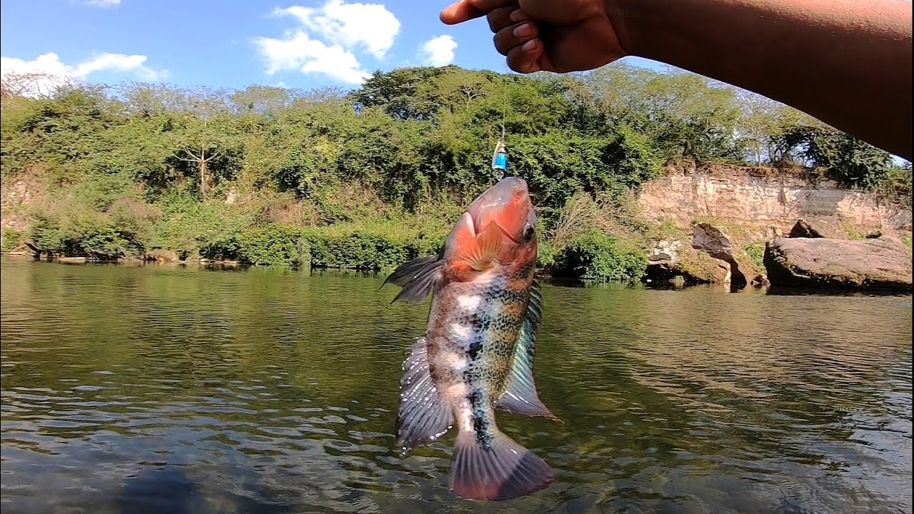 Atrapando mojarras de rio con cucharilla efectiva