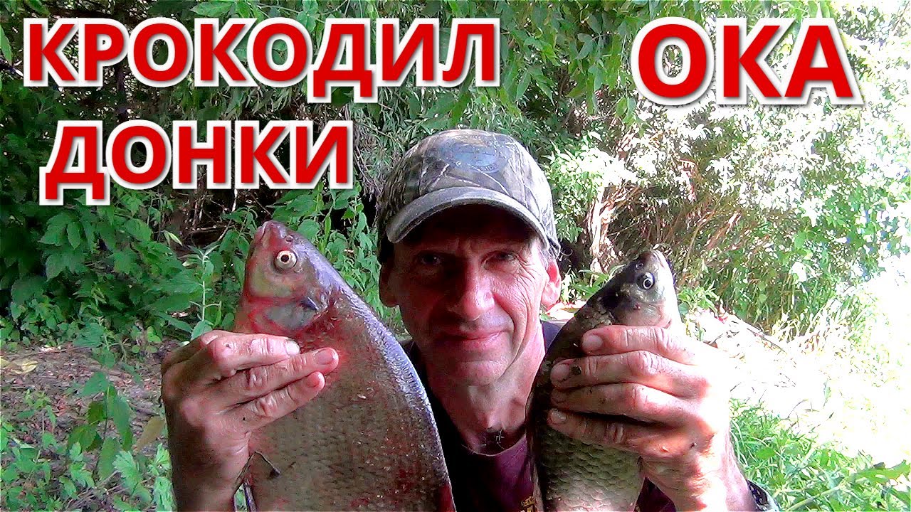 ЛЕЩ и КАРАСЬ на КРОКОДИЛ. Рыбалка на ОКЕ на ДОНКУ. САЛО рулит.