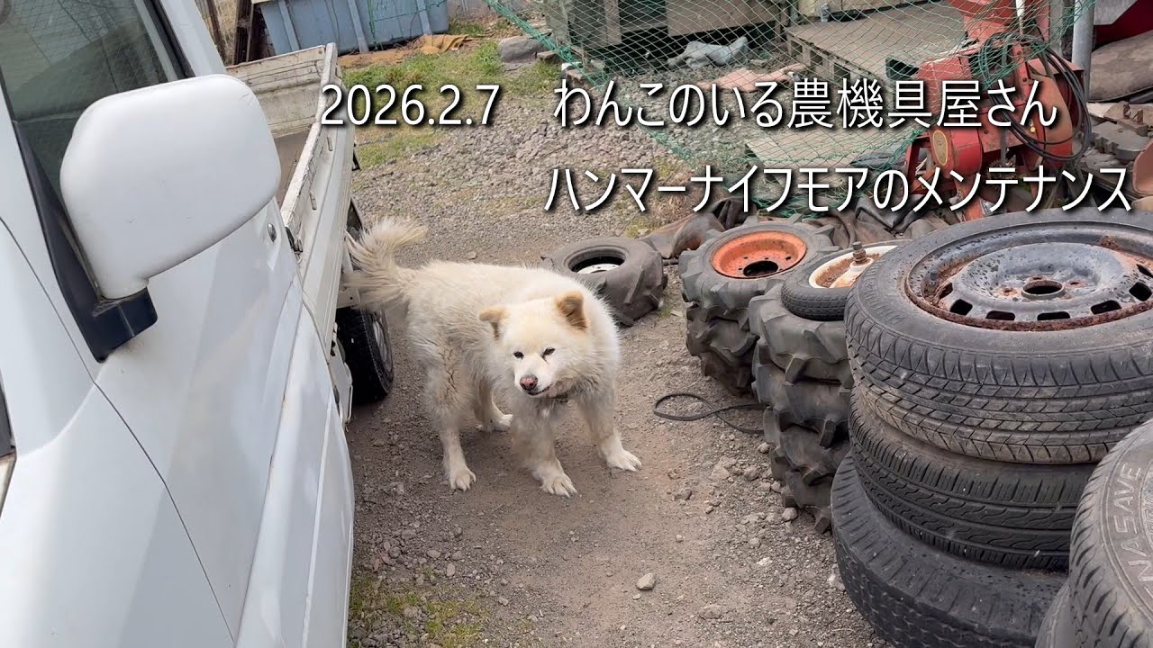 わんちゃんのいる農機具屋さんハンマーナイフモアのメンテナンス