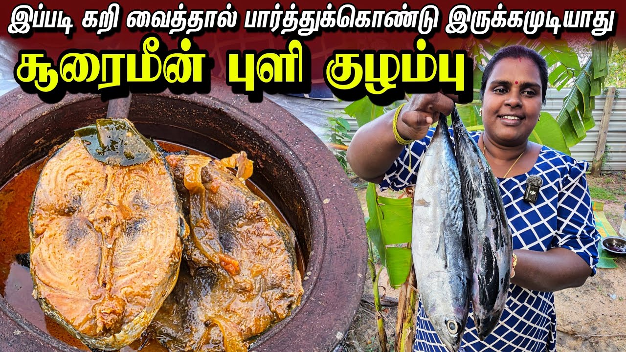சூரை மீன் புளிக்குழம்பும் பச்சை அரிசி சோறும் காச்சல் வாய்க்கு இதம் | Our Village life | vanni vlog 