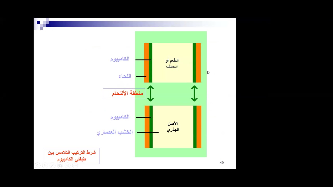 دورة إكثار النبات وإدارة المشاتل - اليوم الثاني