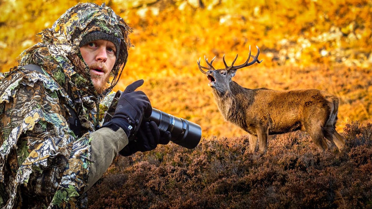 That Moment Every Wildlife Photographer Dreads | Red Deer Rut (1/2)