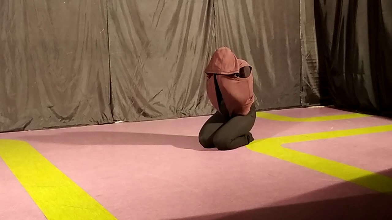Этюд на наблюдение за животными. Бабочка. Ольга Максюк