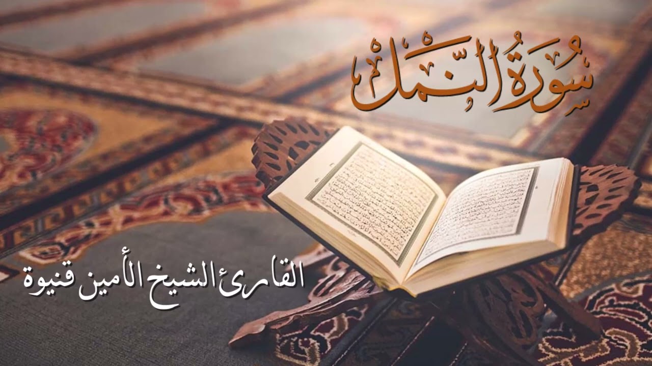 سورة النمل - القارئ الشيخ الأمين محمد قنيوة بجودة عالية