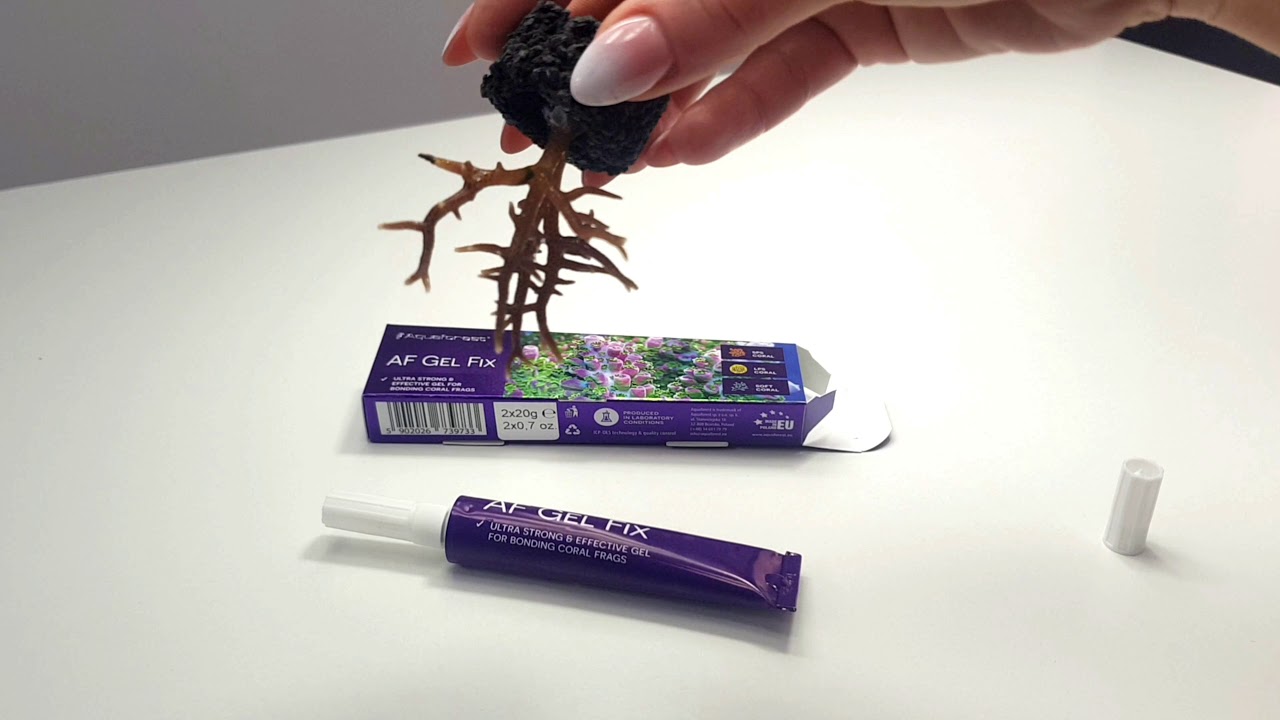 New AF Gel Fix. Perfect glue for coral frags