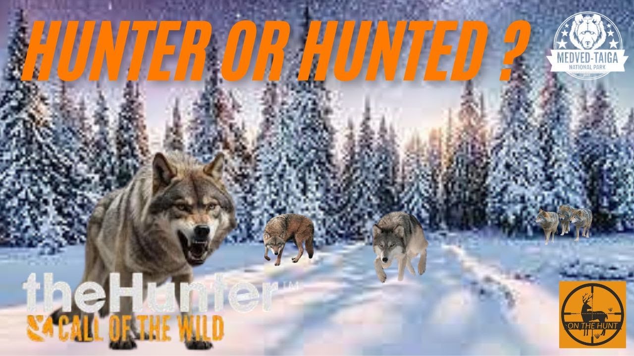 HUNTER OR HUNTED WOLF ATTACK
