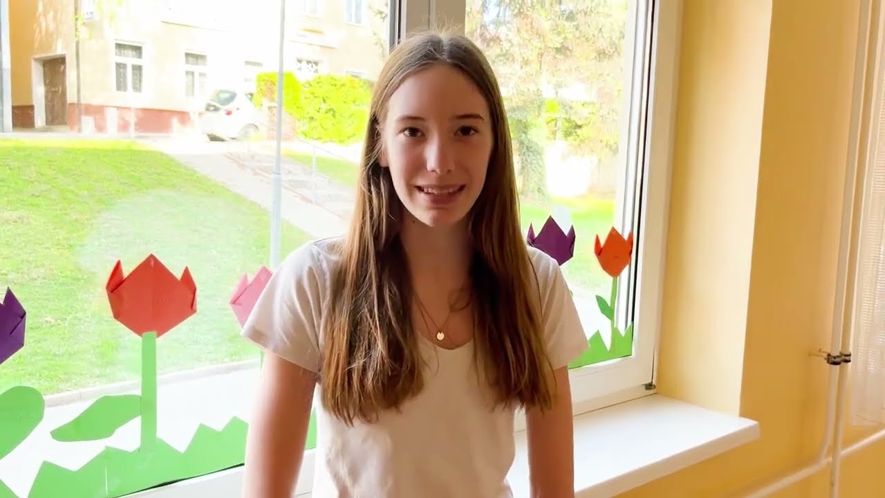 Steinzeitstream- Gesamtvideo