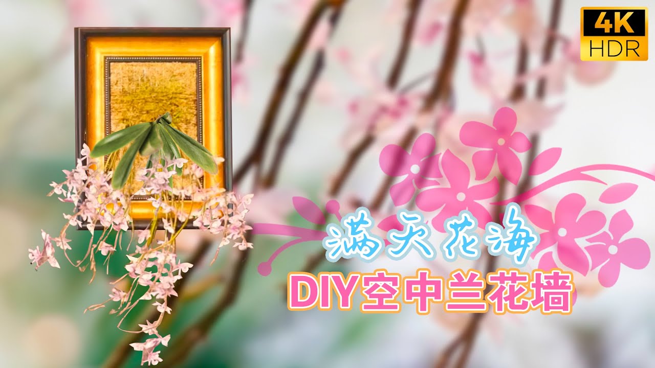 在空气中种花