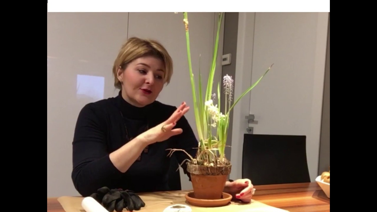 [ COSA FARE QUANDO I BULBI SFIORISCONO] ....... Evitiamo di buttarli! 👍🌱